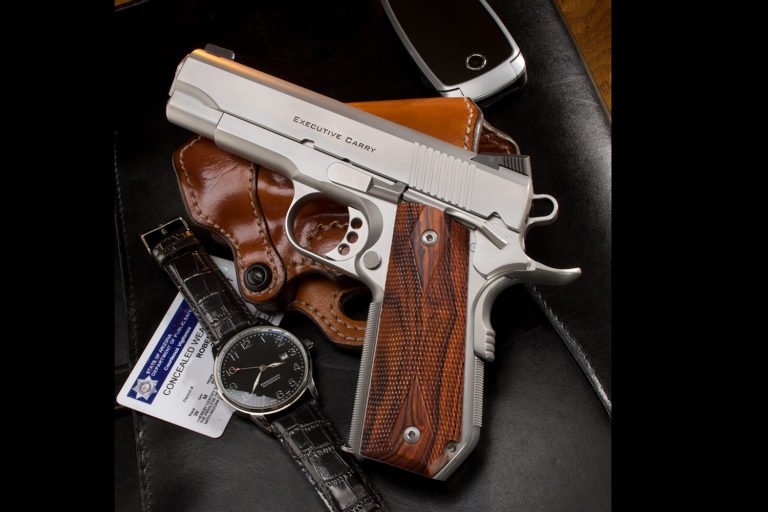 Stainless Ed Brown Executive Carry pistol