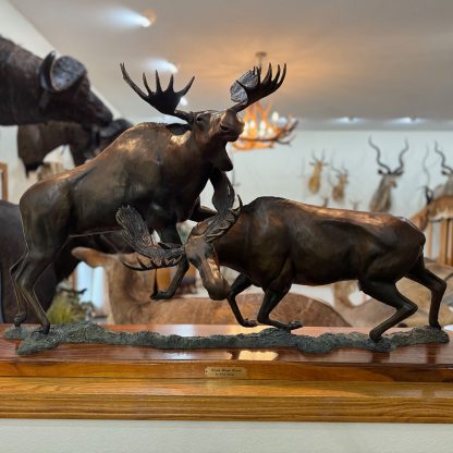 Moose bronze