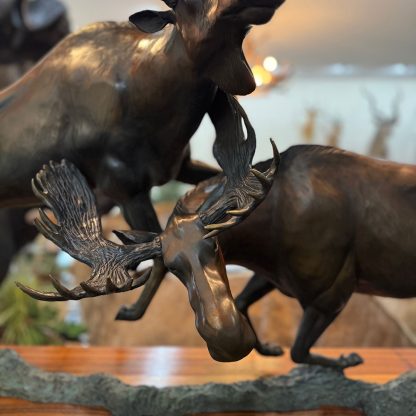 Moose bronze