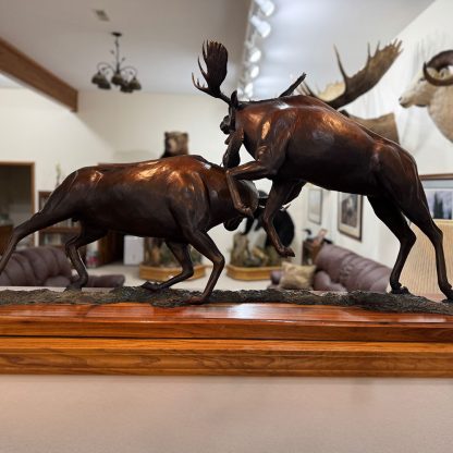 Moose bronze