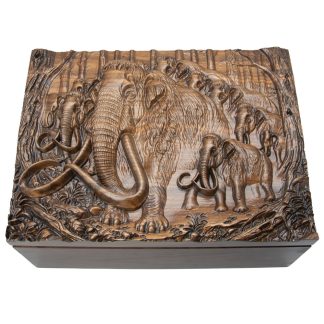 One of one mammoth display case